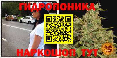 молекула духа Гусь-Хрустальный