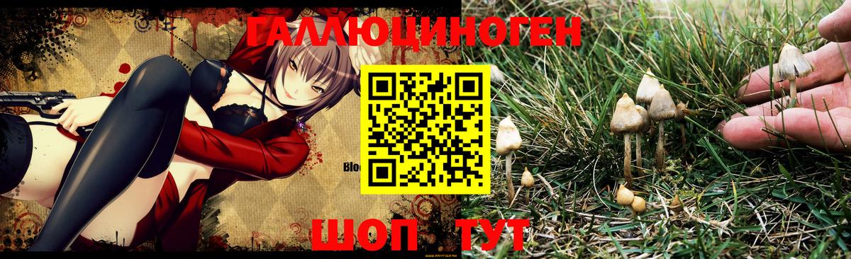 Alpha PVP Новомосковск