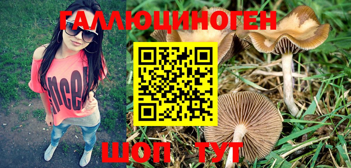 Галлюциногенные грибы мухоморы  Галлюциногенные грибы Cubensis  Вход с VPN  Новомосковск 